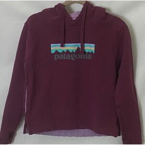 Patagonia Hoodie Sweatshirt Men S‎ Womens M Uprisal P-6 Logo Horizons Mountains